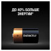Батарейки алкалиновые Duracell Basic LR20 (D) 2 шт MN1300DLR20 (450401) (2)