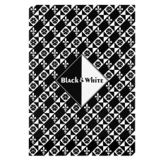 Папка для эскизов А4 Лилия Черный и белый 30 листов, 160 г/м2, 2 цвета ПЛ-0304