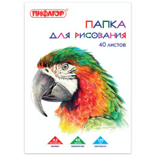 Папка для рисования А3 Пифагор Попугай 40 листов 120 г/м2 129219 (3)