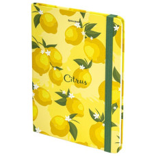 Блокнот А5 Brauberg Lemons 96 листов без линовки 113727 (4)