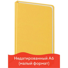 Ежедневник недатированный А6 Brauberg Select 160 листов 111684 (2)