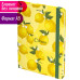 Блокнот А5 Brauberg Lemons 96 листов без линовки 113727 (4)