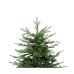 Ель Royal Christmas Auckland 821150 (150 см)