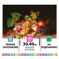 Алмазная мозаика 30х40 см Остров Сокровищ Натюрморт на подрамнике 662422 (1)