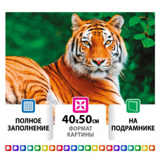 Алмазная мозаика 40х50 см Остров Сокровищ Тигр на подрамнике 662427 (1)