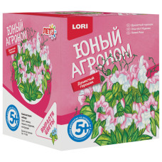 Набор для выращивания растений Lori Юный Агроном Душистый горошек Р-005
