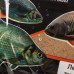 Прикормка Premier Fishing Премиум Лещ Турбо 900г PR-P- BT