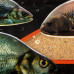 Прикормка Premier Fishing Премиум Анис 900г PR-P-A