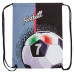 Мешок для обуви Brauberg Premium Ball 270287 (1)