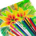 Карандаши цветные трехгранные 18 цветов 3,3 мм 181652 (4)